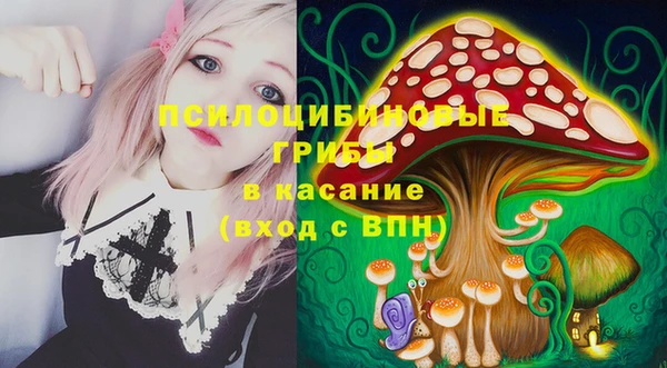 СК Горняк