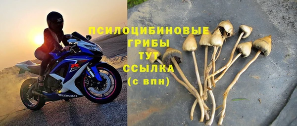 МДПВ Горнозаводск
