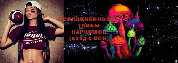 СК Горняк